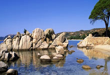 开云2026-遥远的共振，当伯纳乌遇见TD花园，沸腾的肾上腺素不辨东西